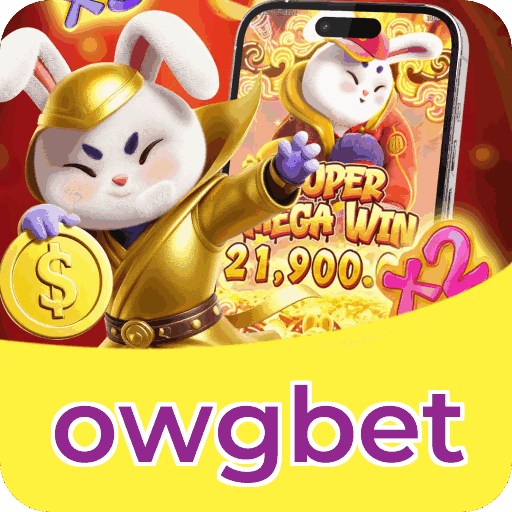 Métodos de pagamento aceitos na owgbet